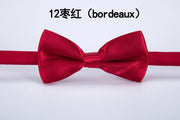 Gentleman wedding bow tie