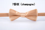 Gentleman wedding bow tie