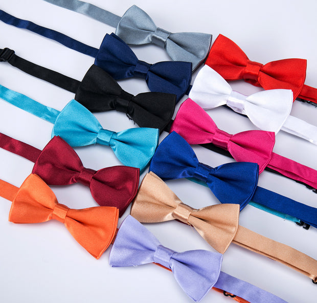 Gentleman wedding bow tie