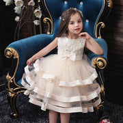 Girls Sleeveless Princess Cake Mesh Dress